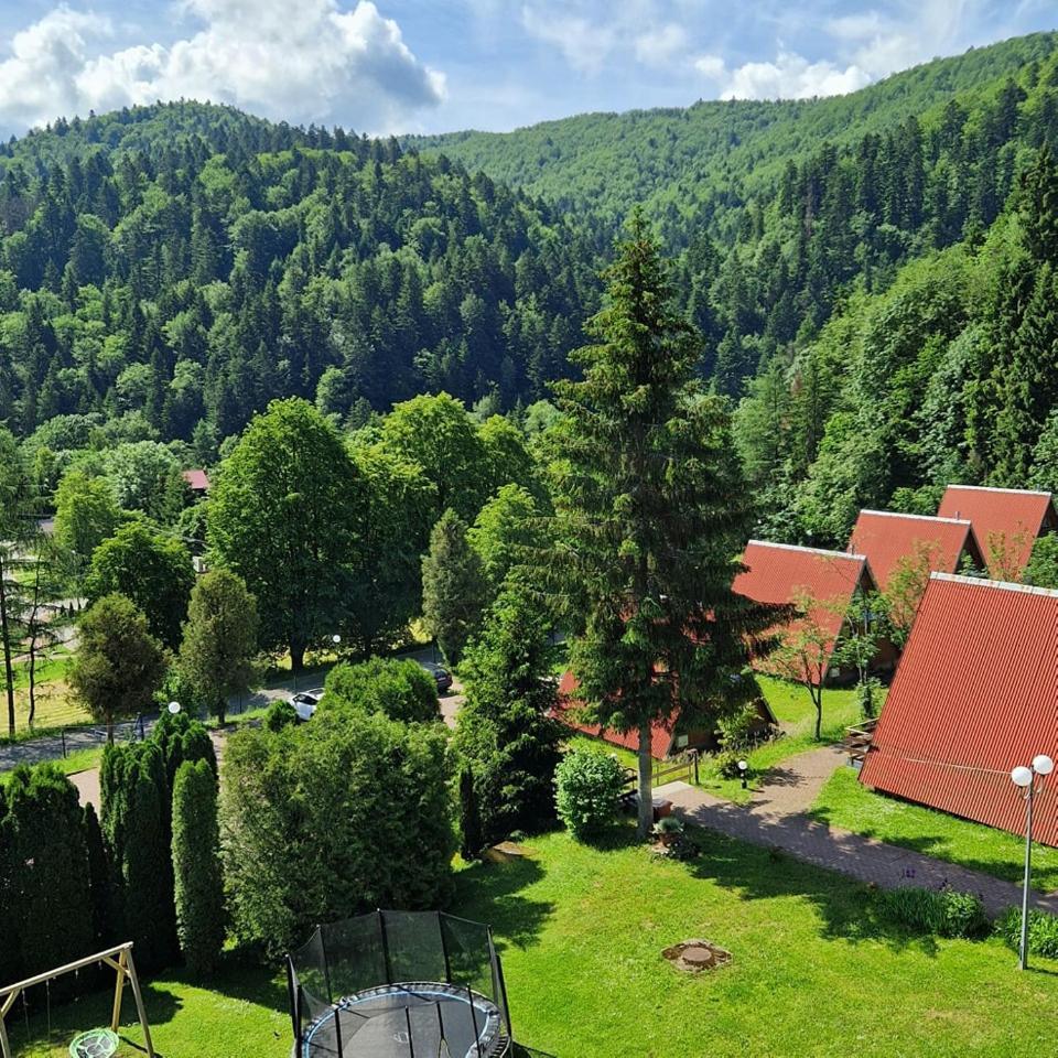 Perelka Bieszczady Domki Cisna Exterior foto